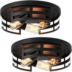 2-Light Black Flush Mount Ceiling Light Fixture,13 in Light Fixtures Ceiling Mount for Hallway,Hall,Kitchen,Farmhouse (2 Pack)